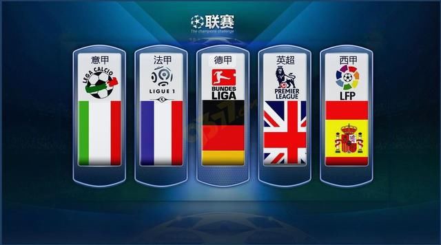 国际职业足
